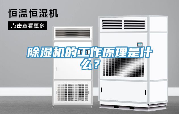 除濕機(jī)的工作原理是什么？