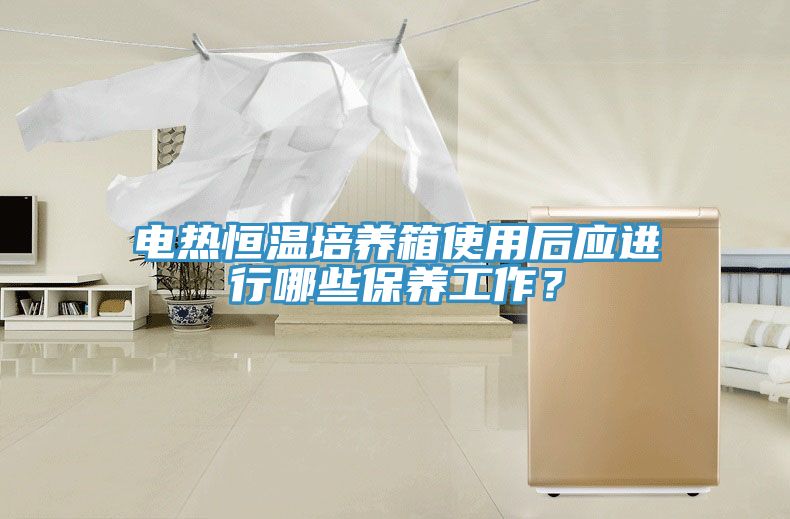 電熱恒溫培養(yǎng)箱使用后應進行哪些保養(yǎng)工作？