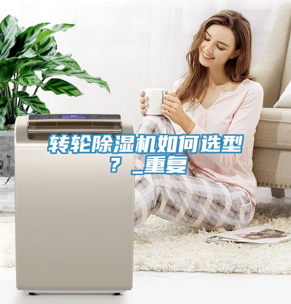 轉(zhuǎn)輪除濕機如何選型？_重復