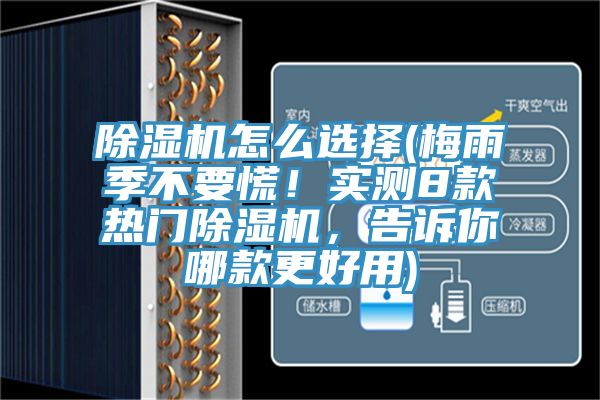 除濕機(jī)怎么選擇(梅雨季不要慌！實(shí)測(cè)8款熱門除濕機(jī)，告訴你哪款更好用)