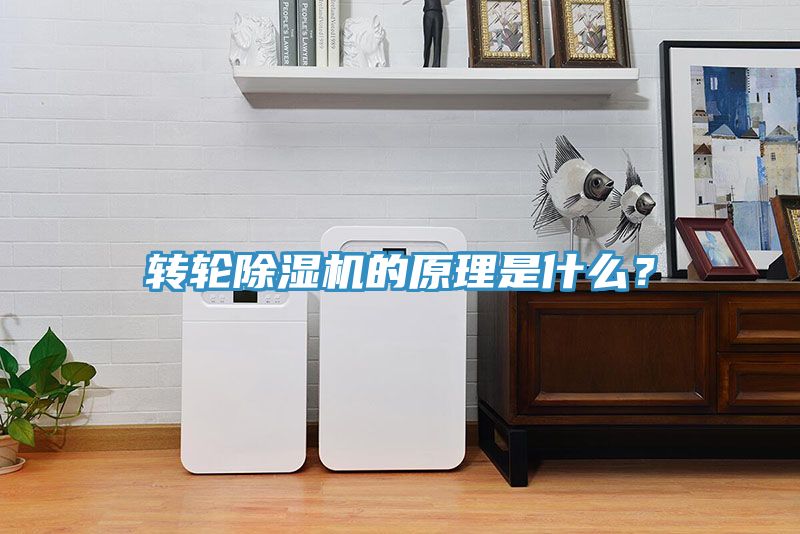 轉(zhuǎn)輪除濕機的原理是什么？