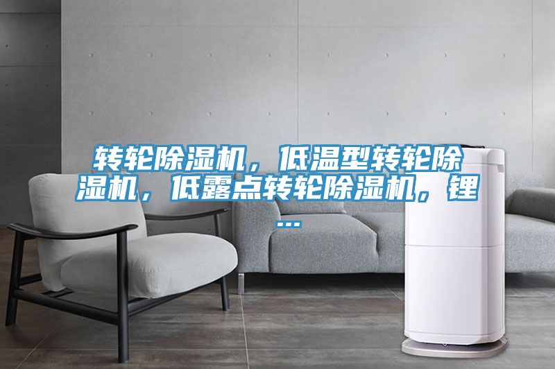 轉輪除濕機，低溫型轉輪除濕機，低露點轉輪除濕機，鋰 ...