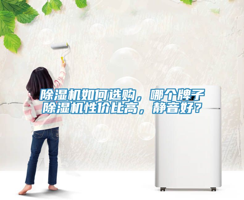 除濕機如何選購，哪個牌子除濕機性價比高，靜音好？